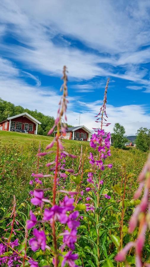 Levajok Lodge Tana Zewnętrze zdjęcie